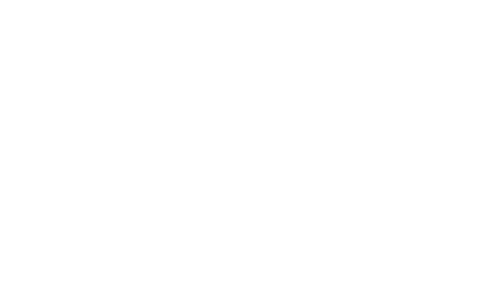 Primis Security Inc.